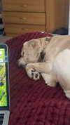 lew12001 Altpins Profile Picture