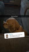 lew12001 Altpins Profile Picture