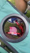 lew12001 Altpins Profile Picture