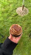 lew12001 Altpins Profile Picture