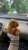 lew12001 Altpins Profile Picture