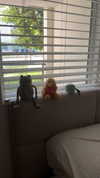 lew12001 Altpins Profile Picture