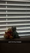 lew12001 Altpins Profile Picture