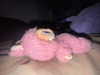 lew12001 Altpins Profile Picture