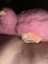 lew12001 Altpins Profile Picture