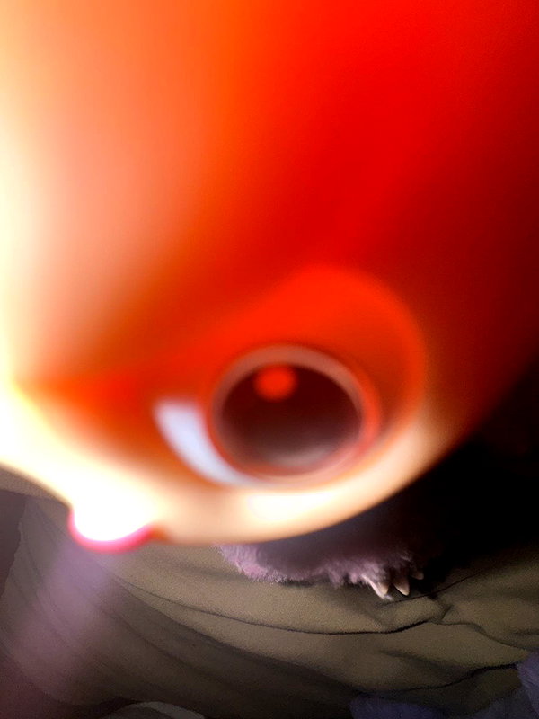 lew12001 snapchat image archive image
