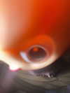 lew12001 Altpins Profile Picture