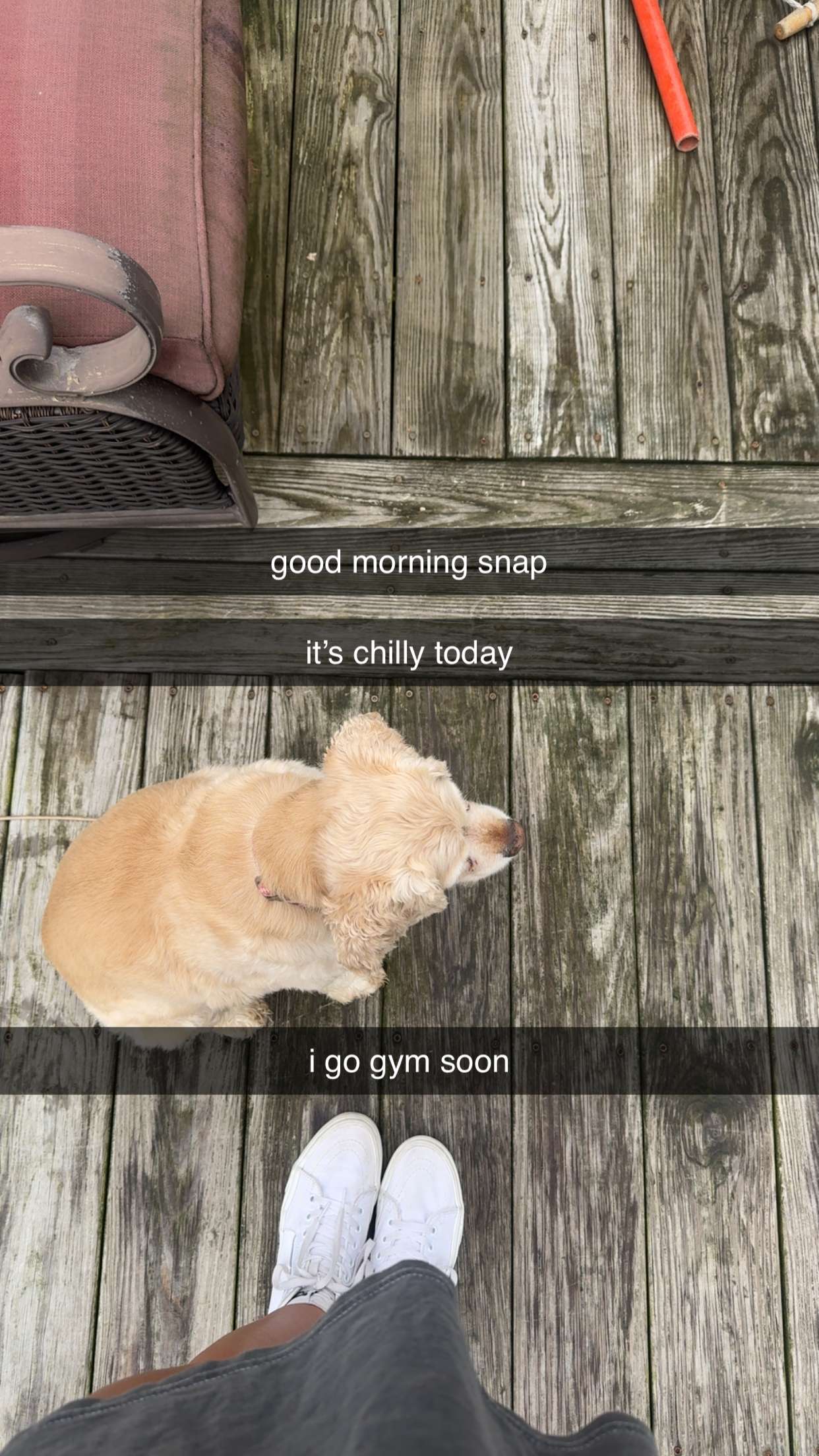 lew12001 snapchat image archive image