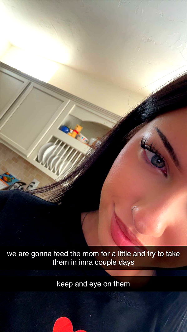 lew12001 image ~ Altpins