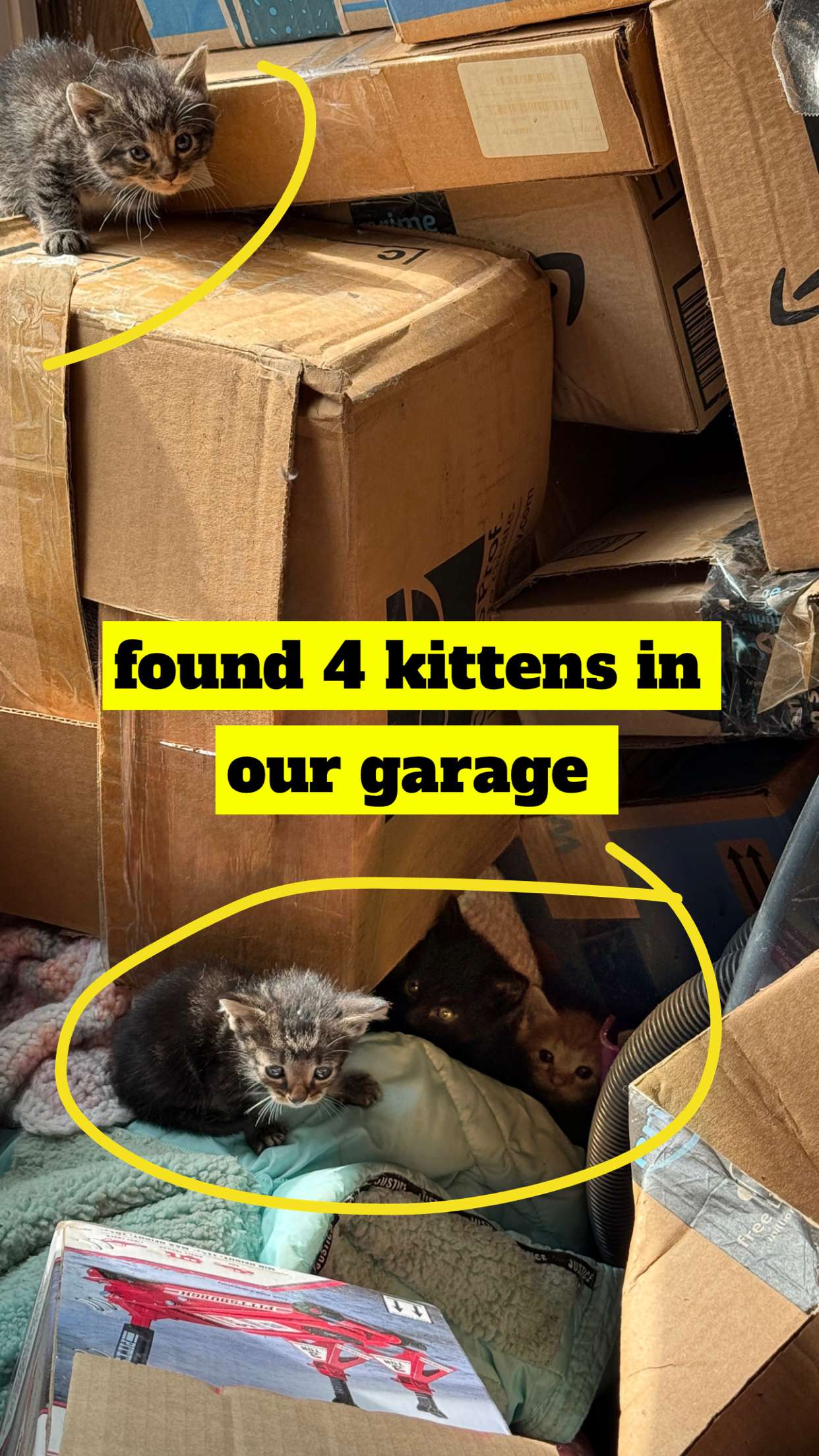 lew12001 snapchat image archive image