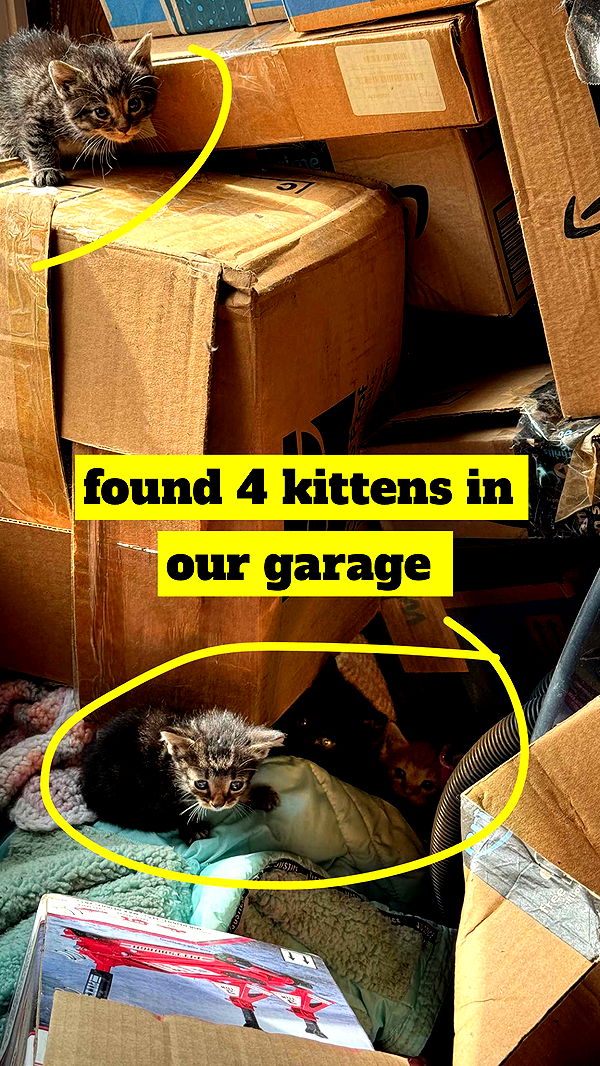 lew12001 image ~ Altpins