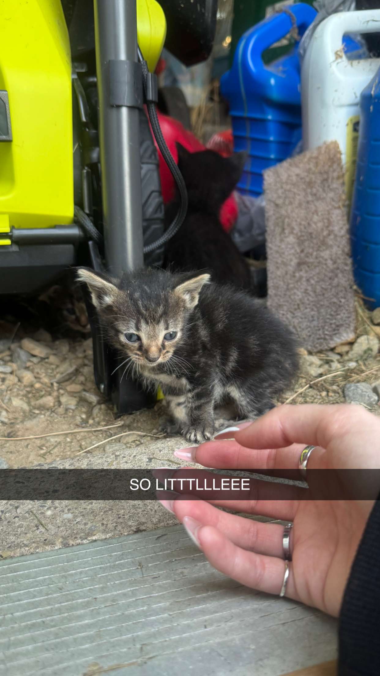 lew12001 snapchat image archive image