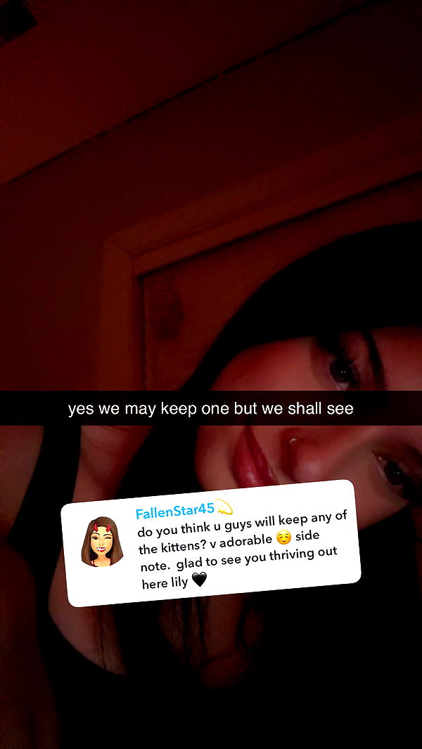 lew12001 image ~ Altpins