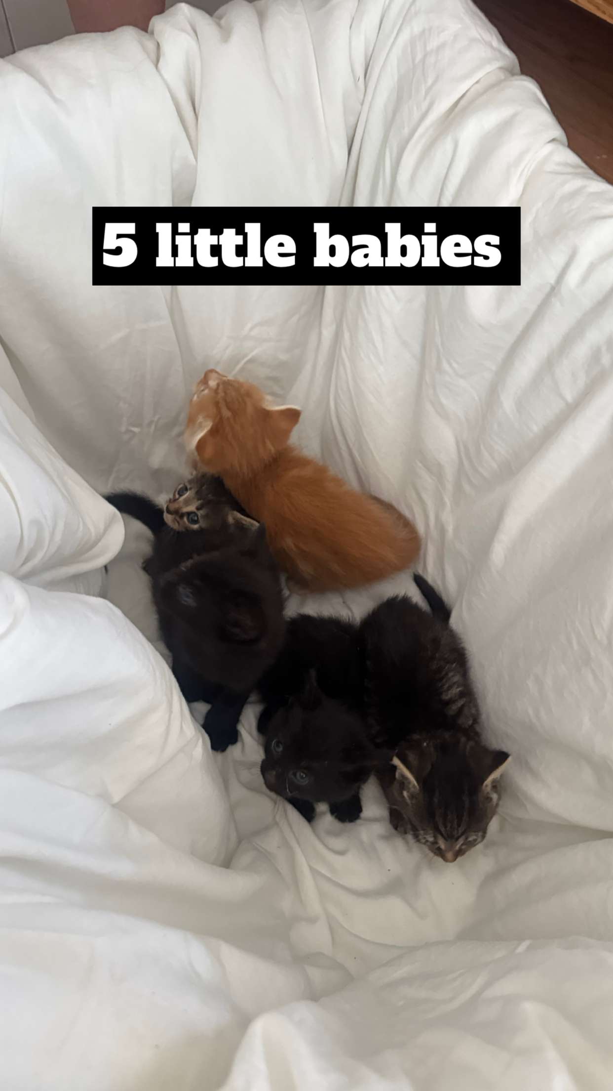 lew12001 snapchat image archive image