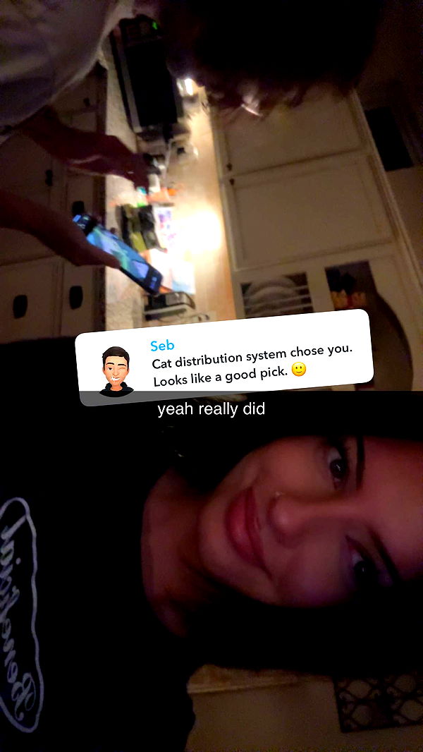 lew12001 image ~ Altpins