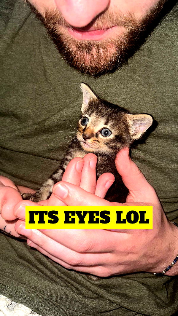 lew12001 image ~ Altpins