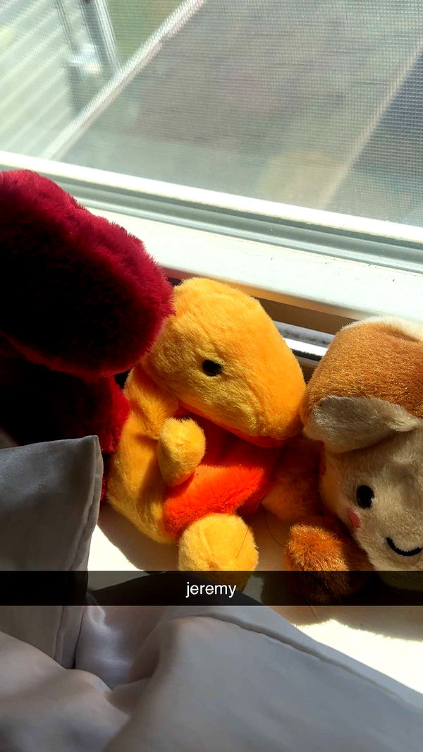 lew12001 image ~ Altpins