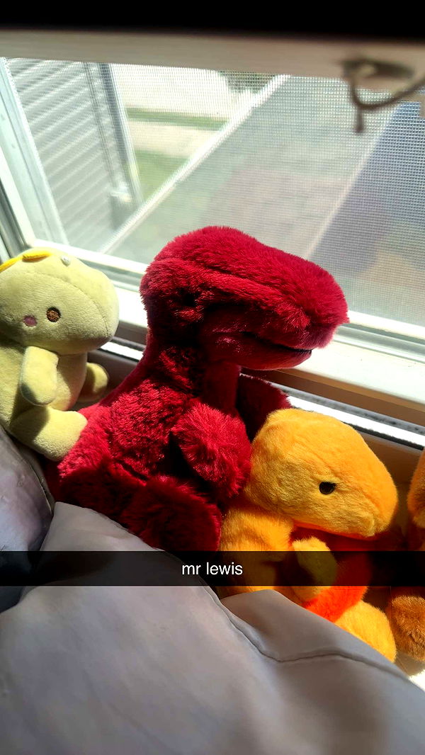 lew12001 image ~ Altpins