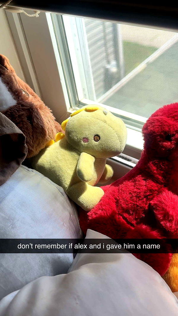 lew12001 image ~ Altpins