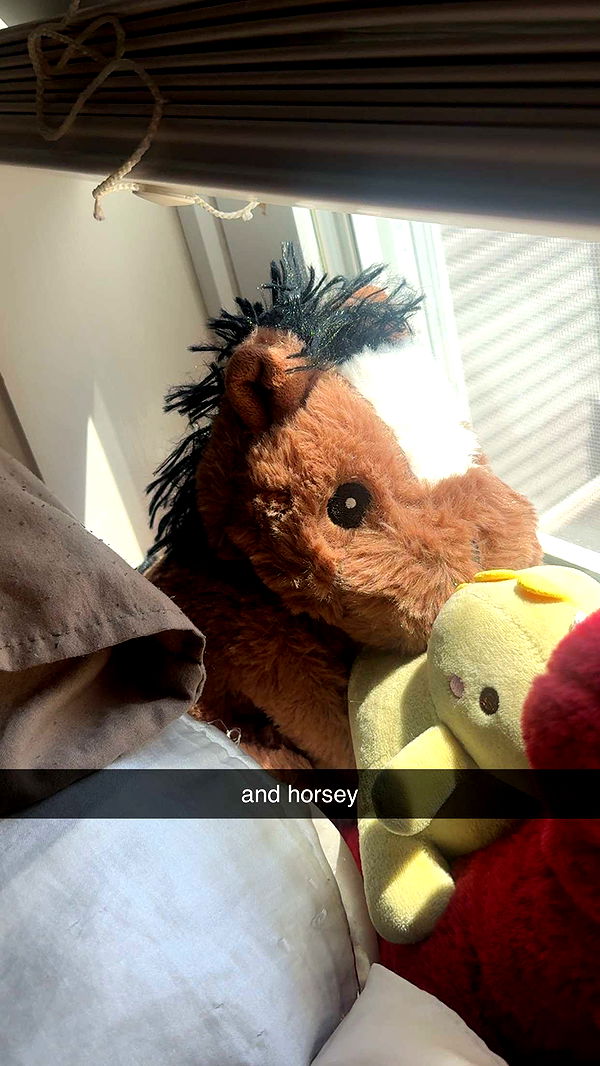 lew12001 image ~ Altpins