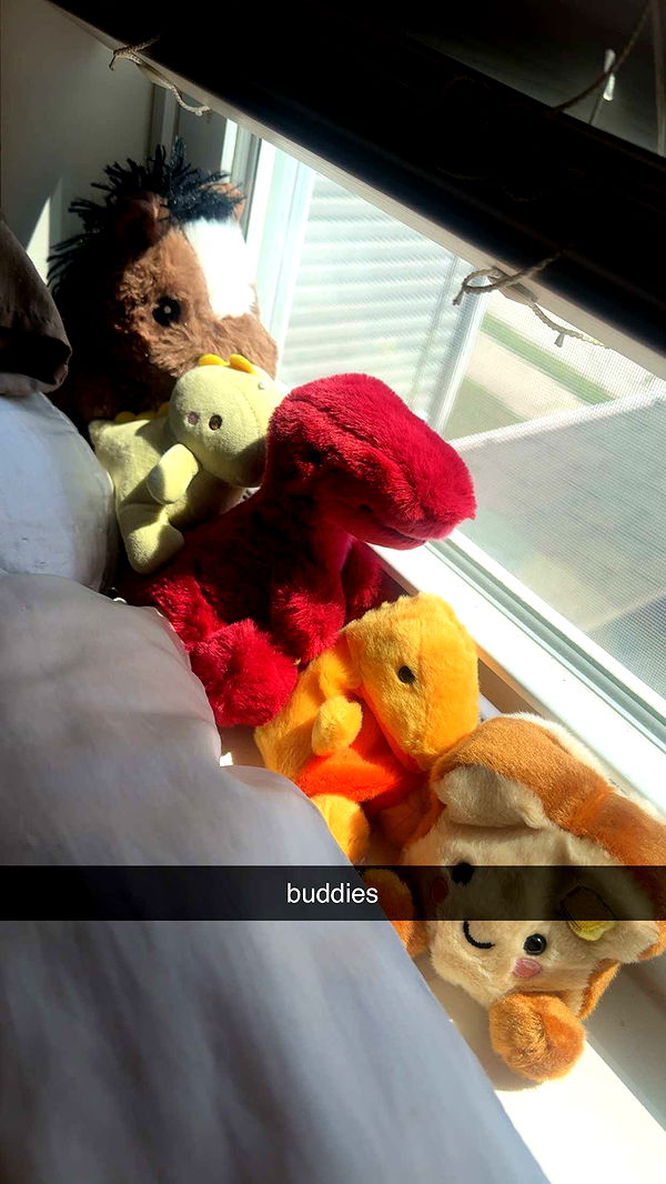 lew12001 image ~ Altpins