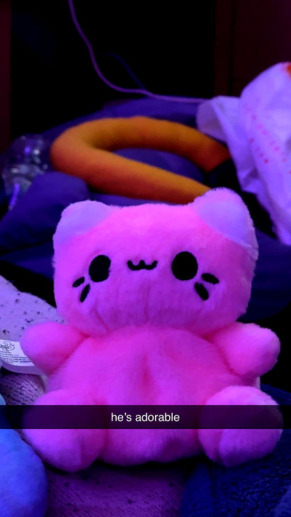 lew12001 image ~ Altpins