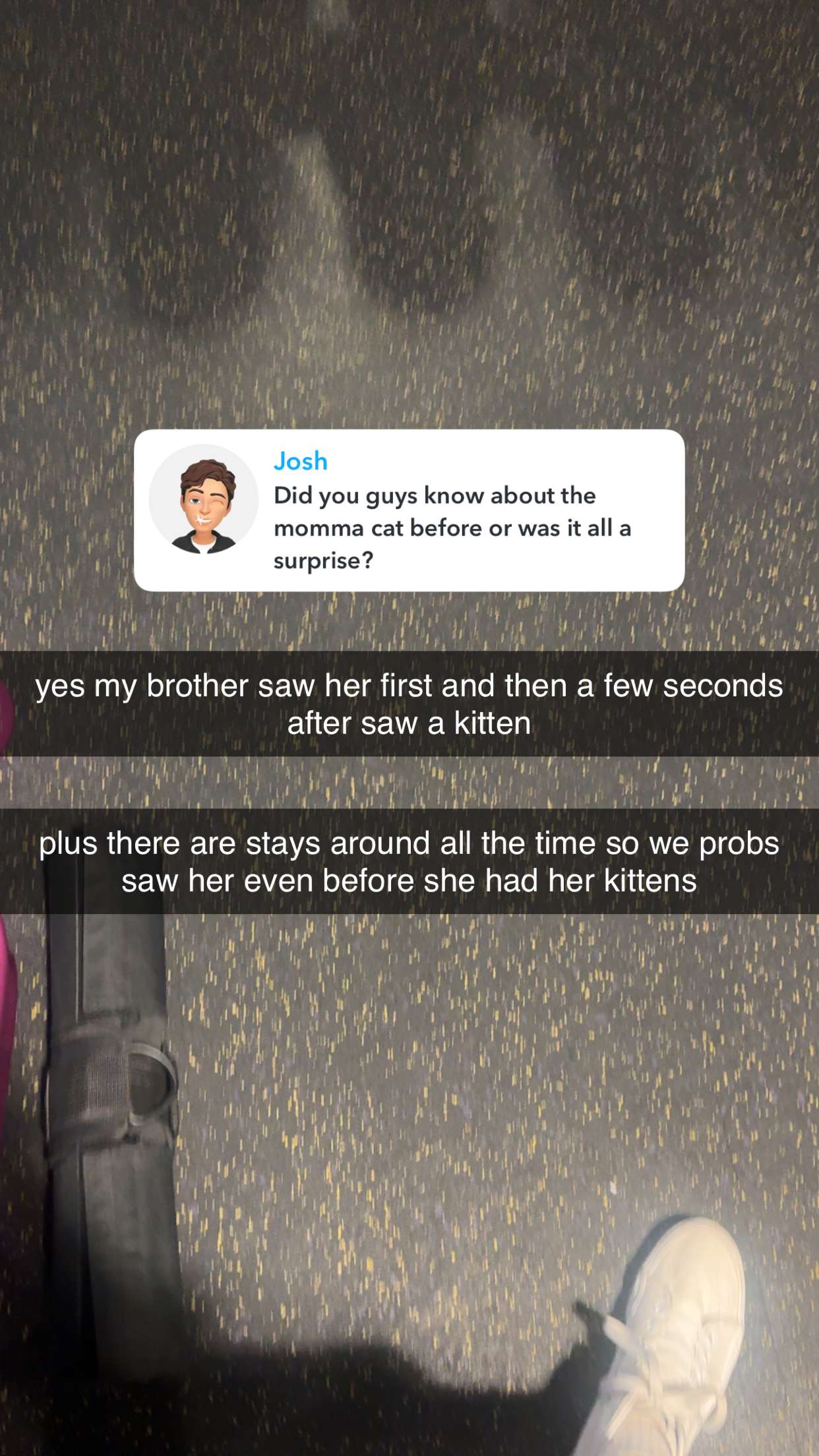 lew12001 snapchat image archive image