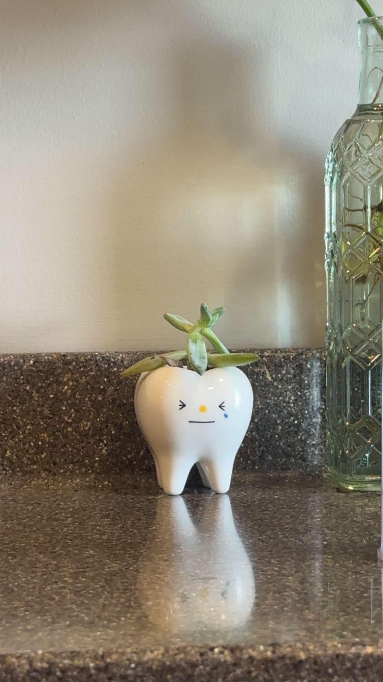 lew12001 snapchat image archive image