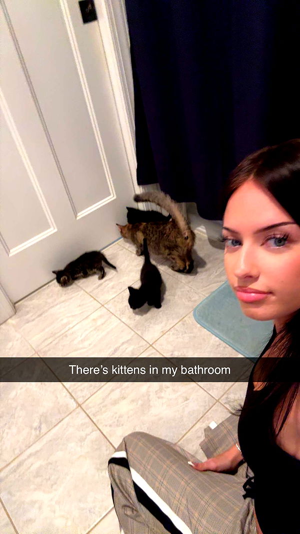 lew12001 image ~ Altpins