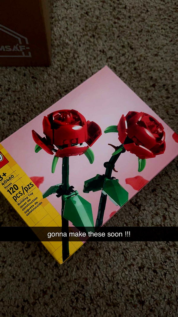 lew12001 image ~ Altpins