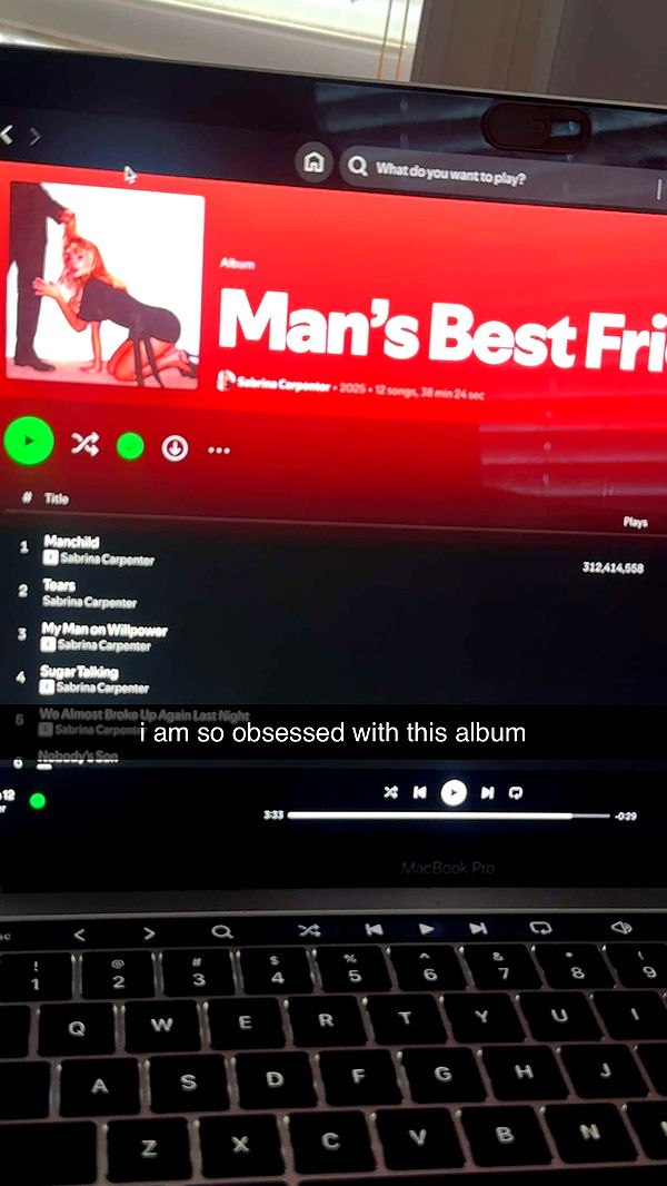 lew12001 image ~ Altpins