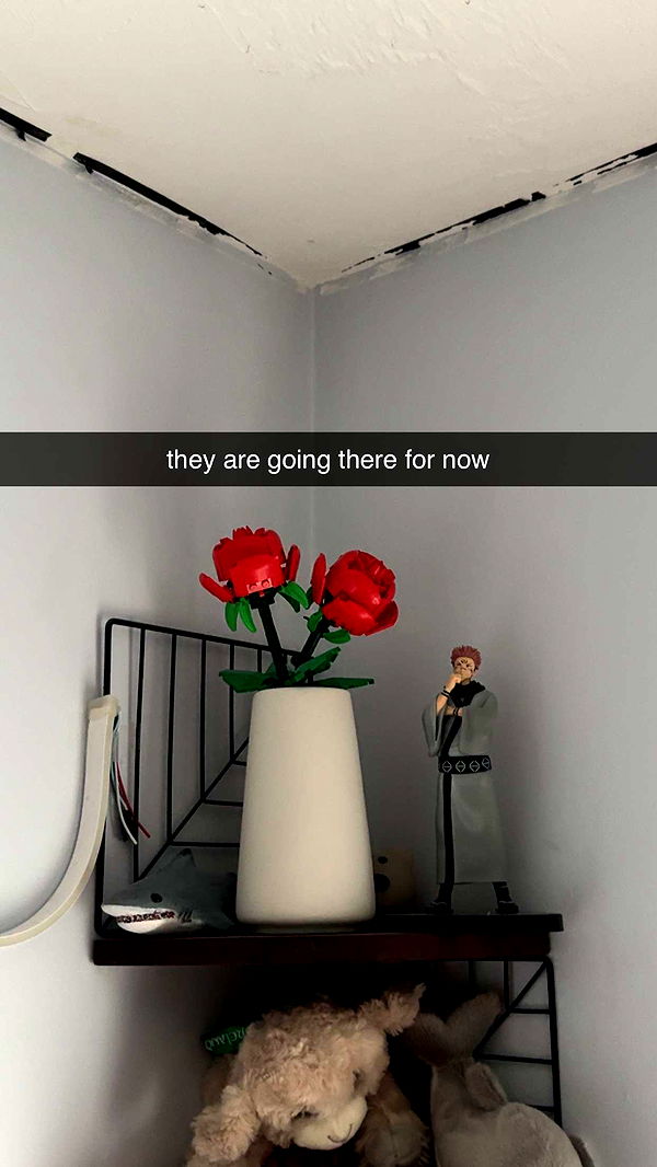 lew12001 image ~ Altpins