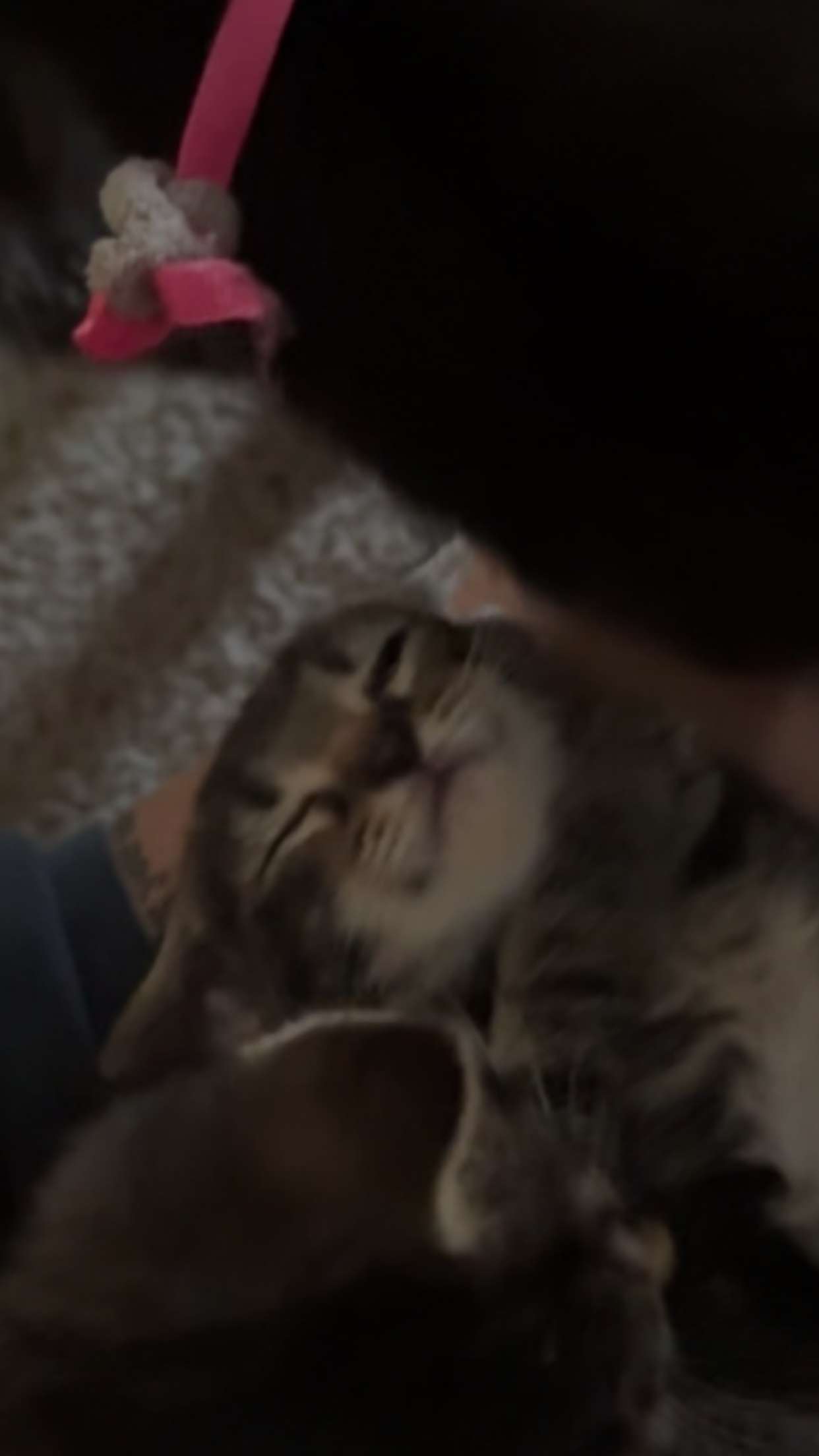 lew12001 snapchat image archive image