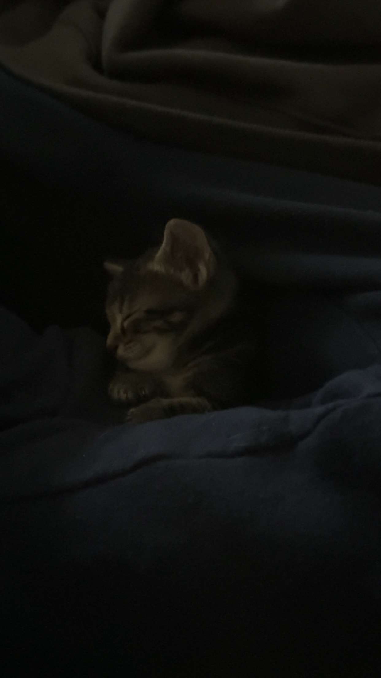 lew12001 snapchat image archive image