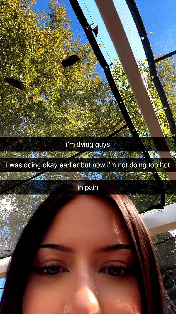 lew12001 image ~ Altpins