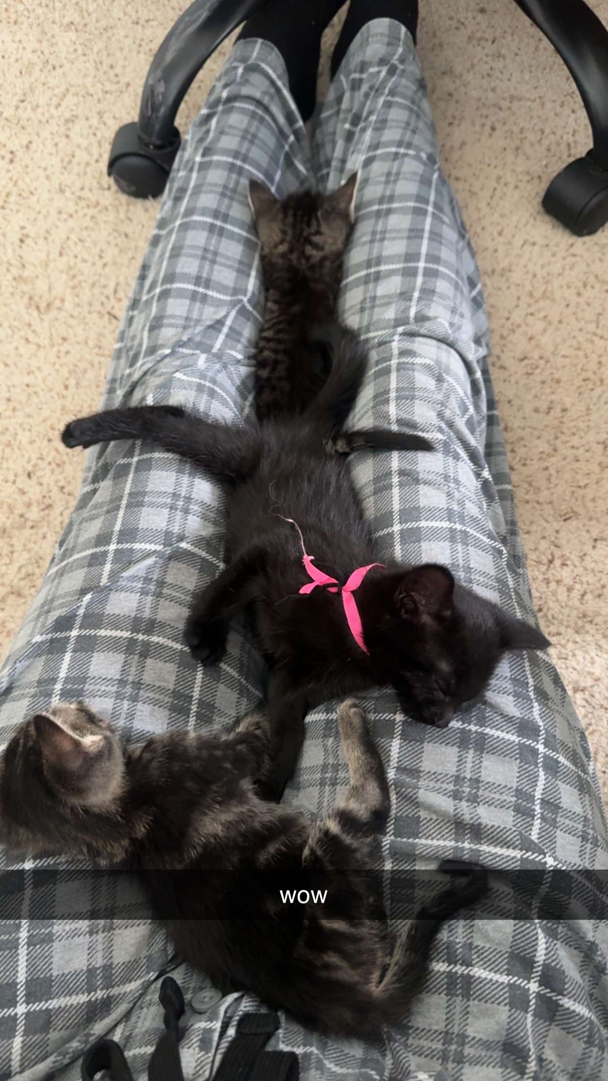 lew12001 snapchat image archive image