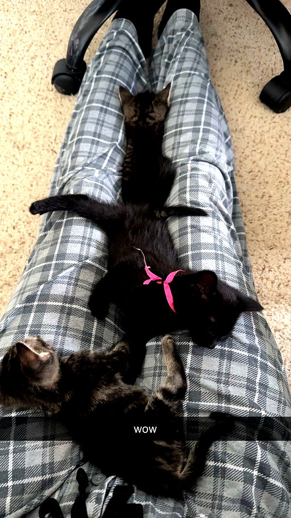 lew12001 image ~ Altpins