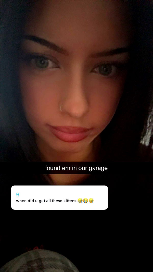 lew12001 image ~ Altpins