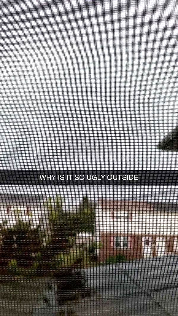 lew12001 image ~ Altpins