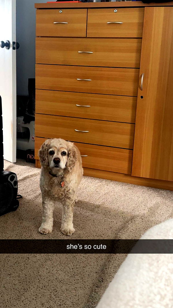 lew12001 image ~ Altpins