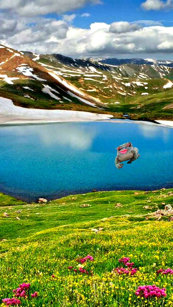 lew12001 image ~ Altpins