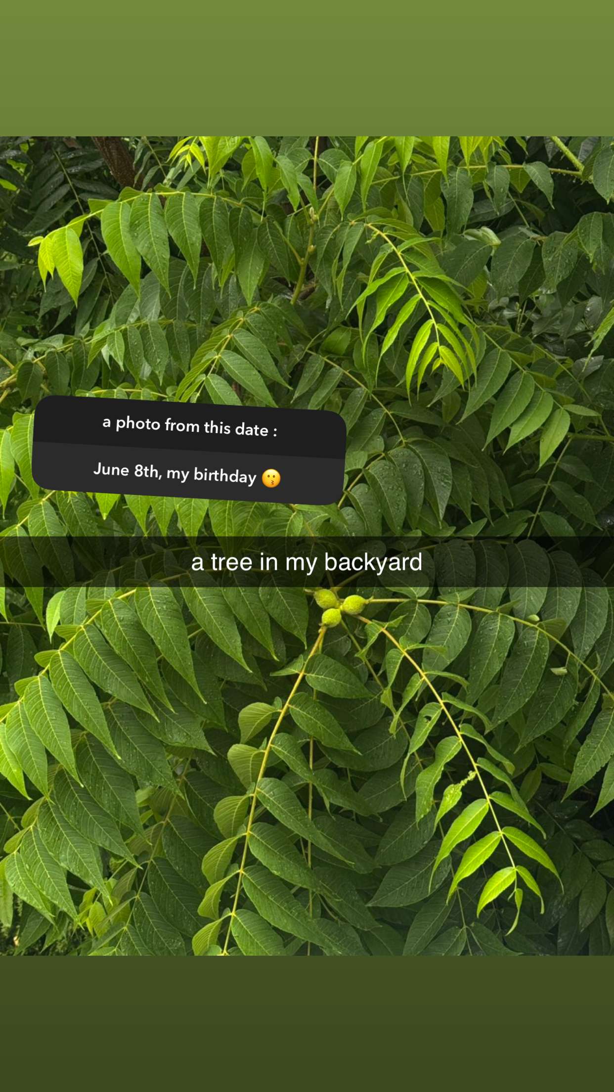 lew12001 snapchat image archive image