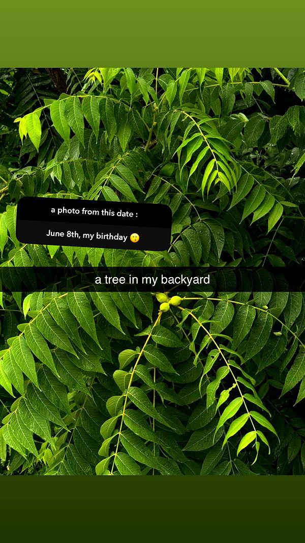 lew12001 image ~ Altpins