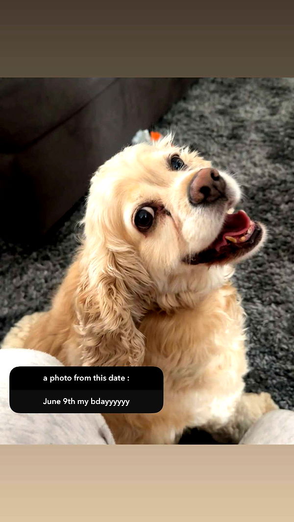 lew12001 image ~ Altpins