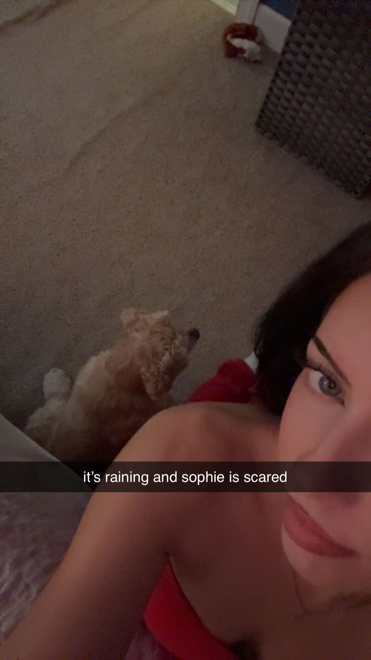 lew12001 snapchat image archive image