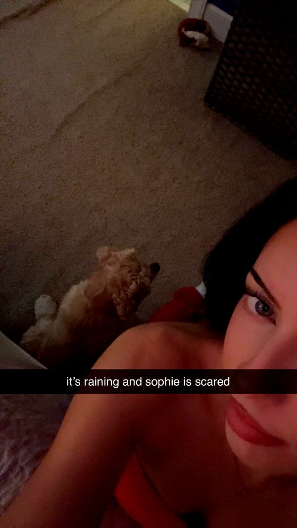 lew12001 image ~ Altpins