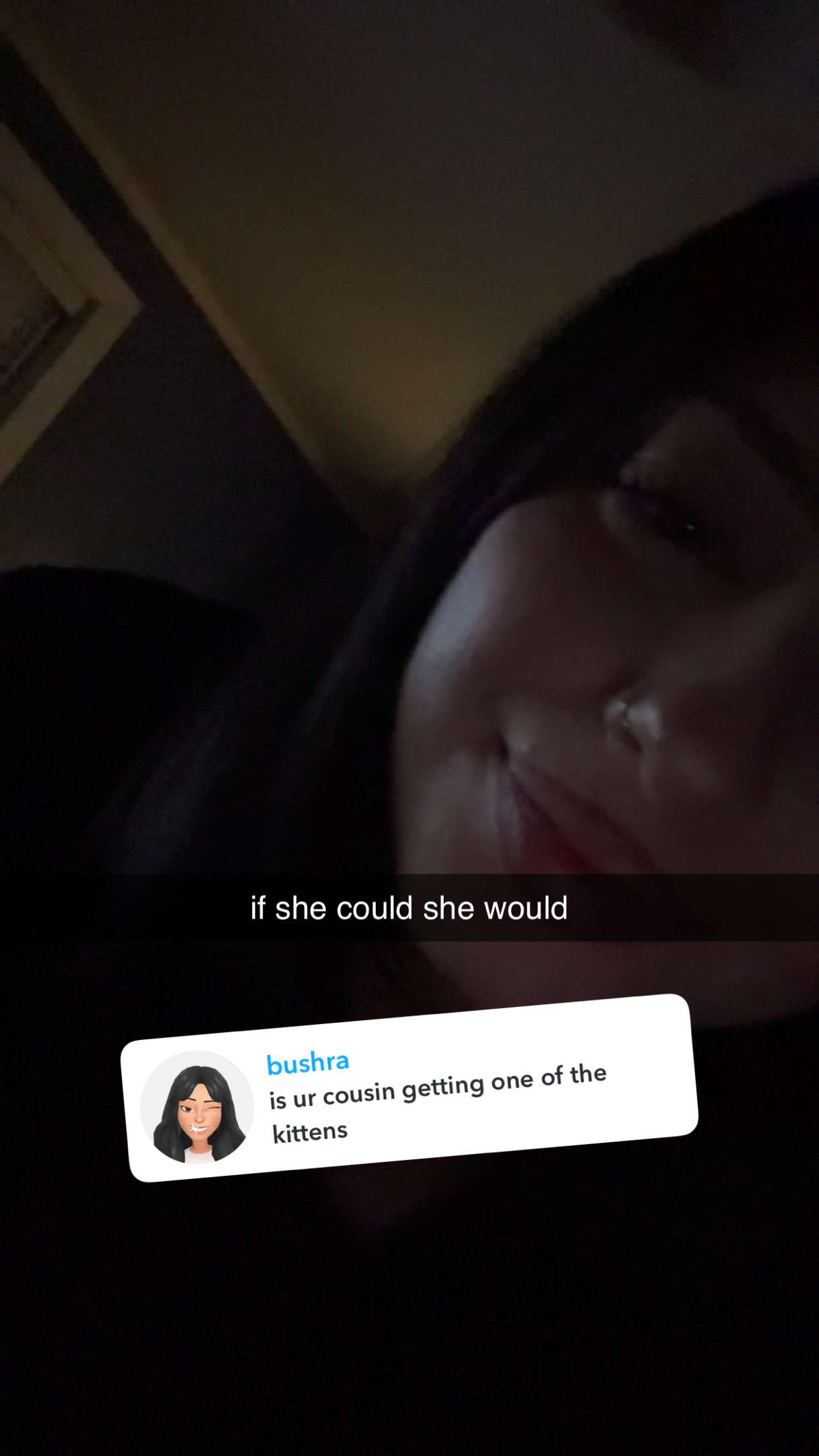 lew12001 snapchat image archive image