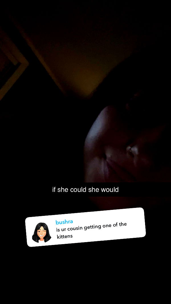 lew12001 image ~ Altpins