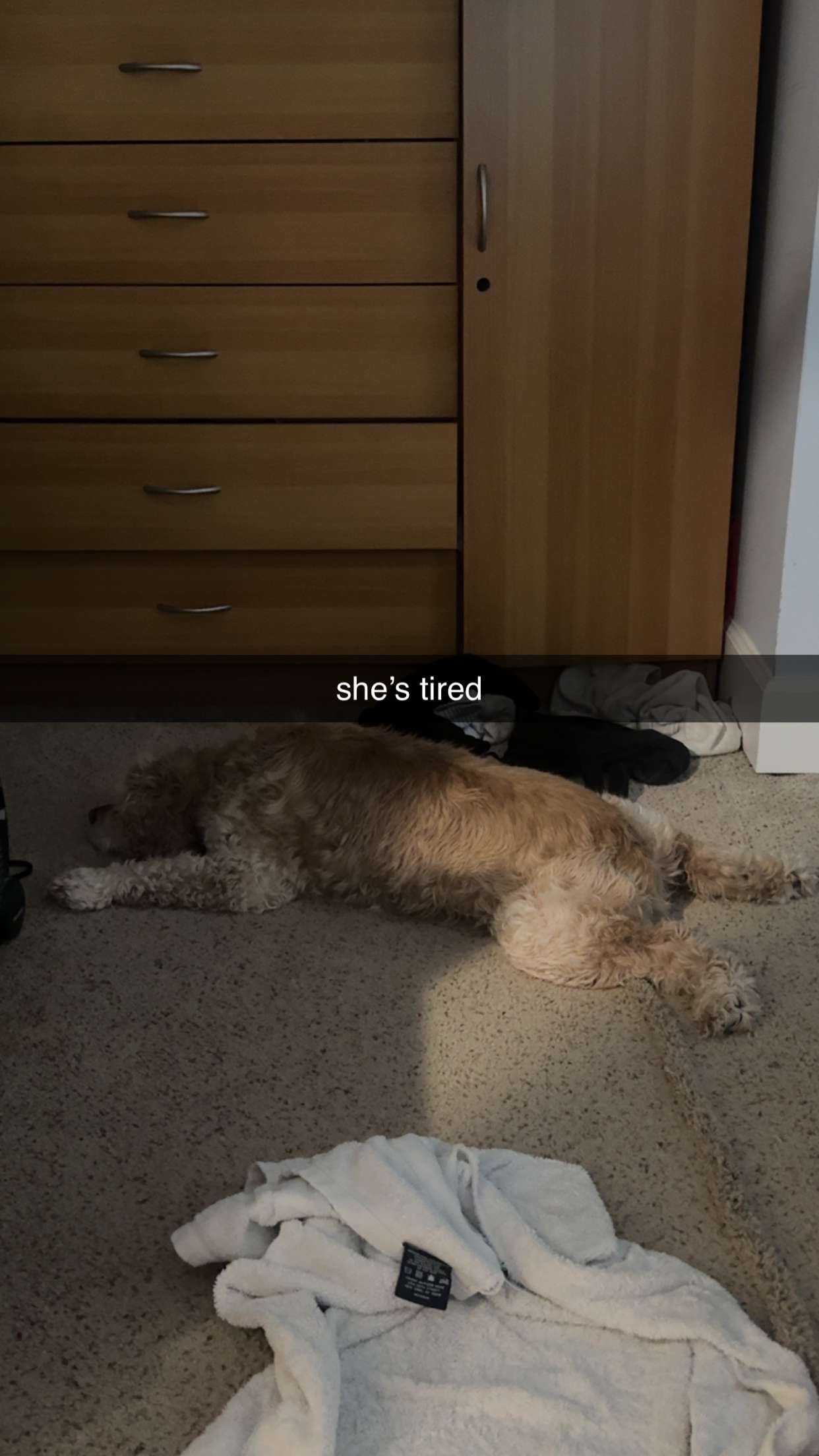 lew12001 snapchat image archive image