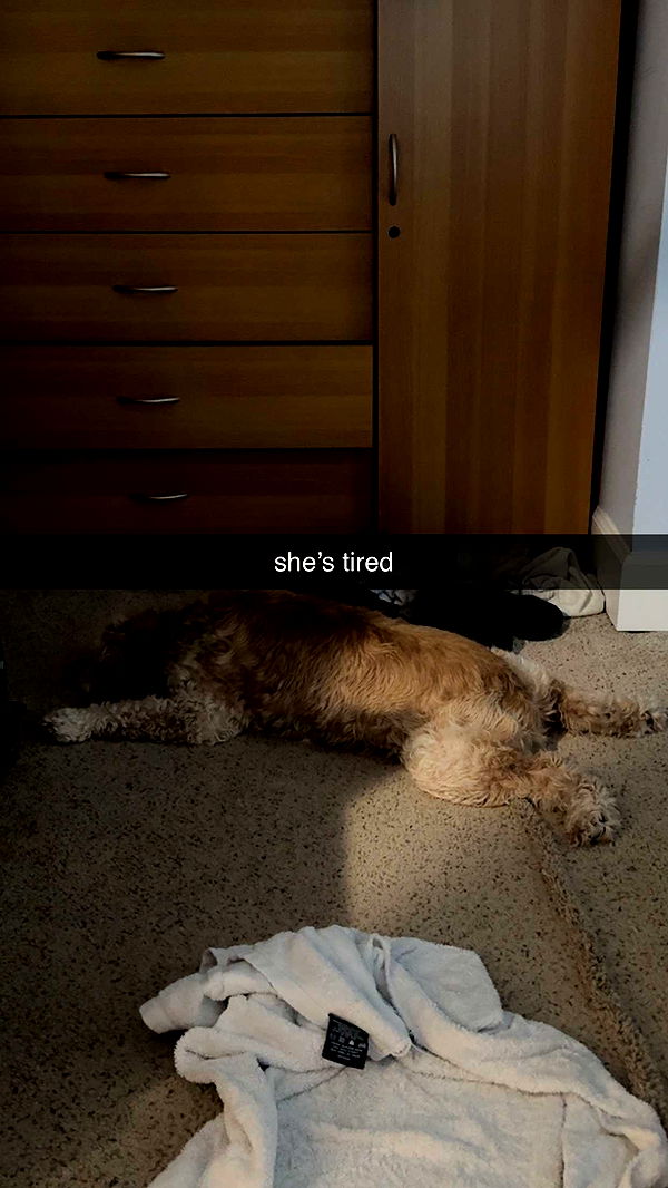 lew12001 image ~ Altpins